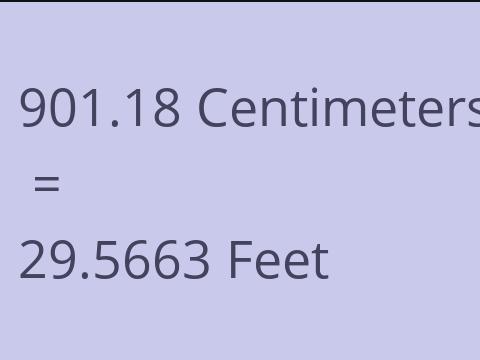 901.18 CM TO FEET