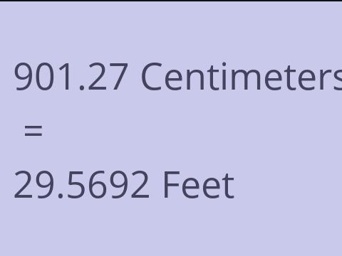 901.27 CM TO FEET