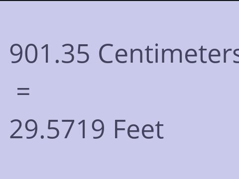 901.35 CM TO FEET