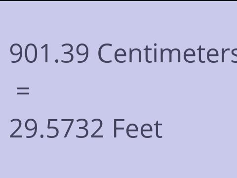 901.39 CM TO FEET