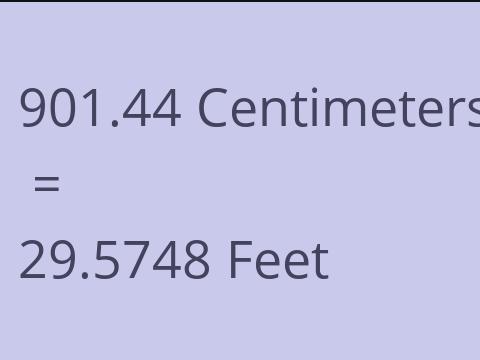 901.44 CM TO FEET