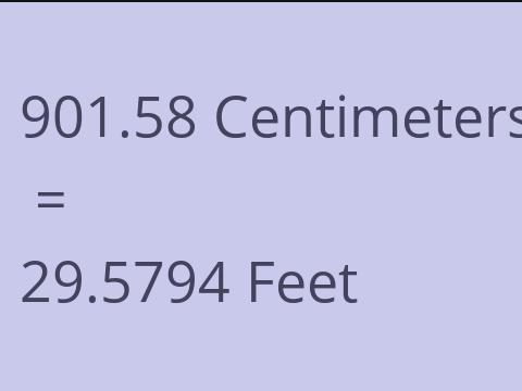 901.58 CM TO FEET