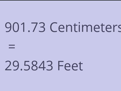 901.73 CM TO FEET