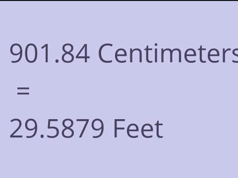 901.84 CM TO FEET