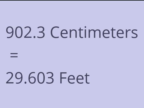 902.3 CM TO FEET