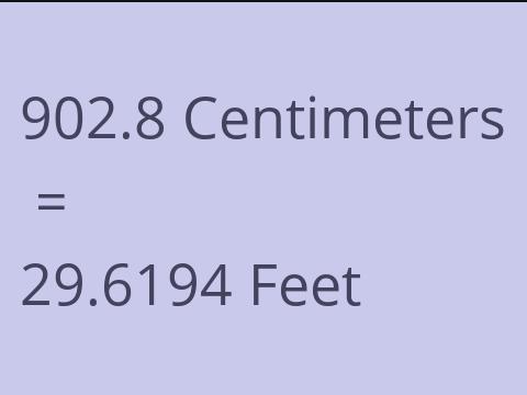 902.8 CM TO FEET