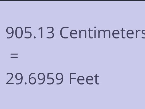 905.13 CM TO FEET