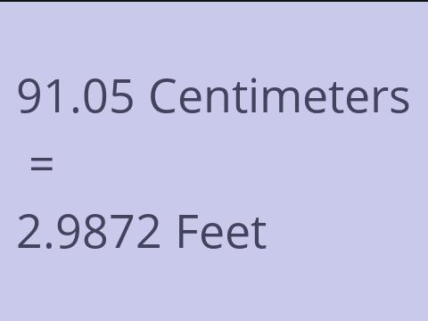 91.05 CM TO FEET