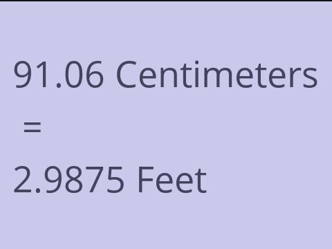 91.06 CM TO FEET