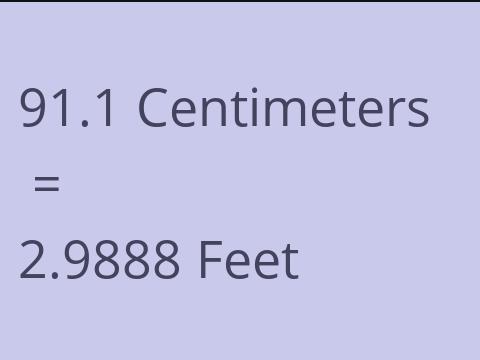 91.1 CM TO FEET