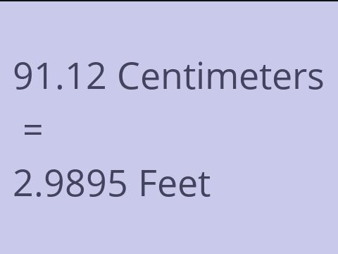 91.12 CM TO FEET