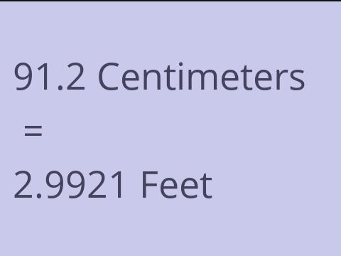 91.2 CM TO FEET