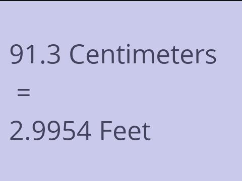 91.3 CM TO FEET