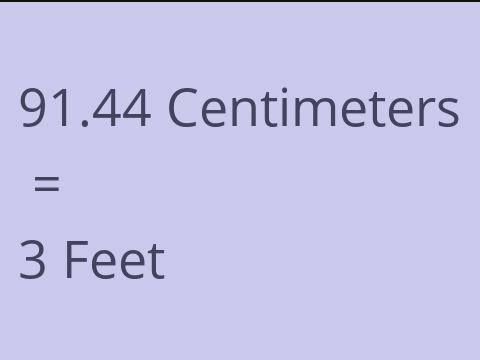 91.44 CM TO FEET