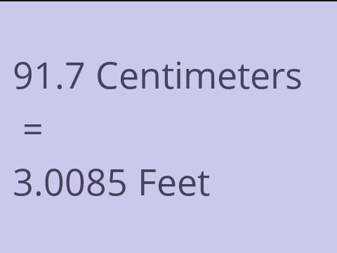 91.7 CM TO FEET