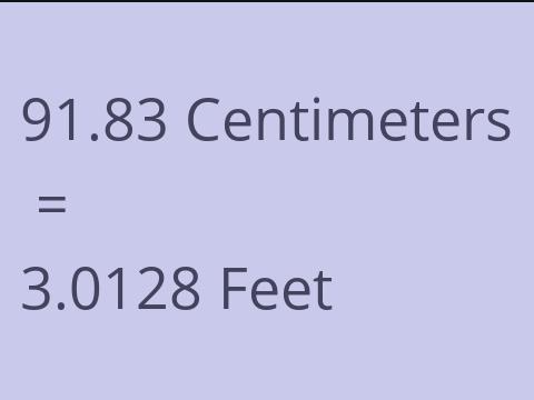 91.83 CM TO FEET