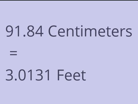 91.84 CM TO FEET