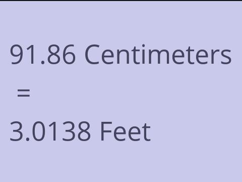 91.86 CM TO FEET