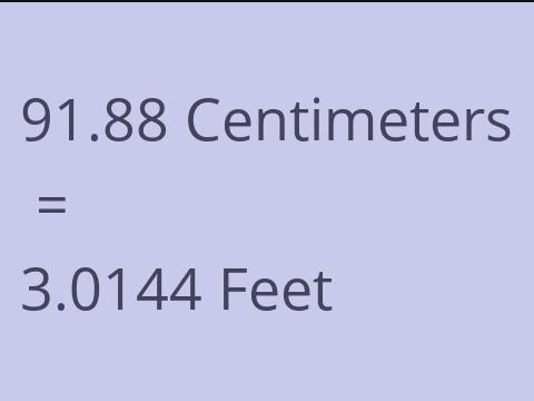 91.88 CM TO FEET