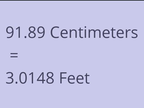 91.89 CM TO FEET