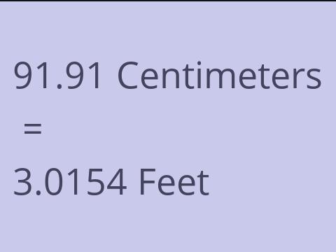 91.91 CM TO FEET