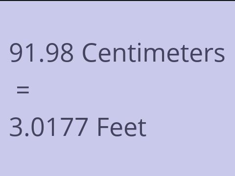 91.98 CM TO FEET