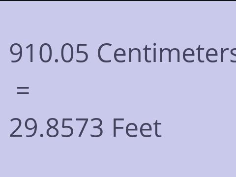 910.05 CM TO FEET