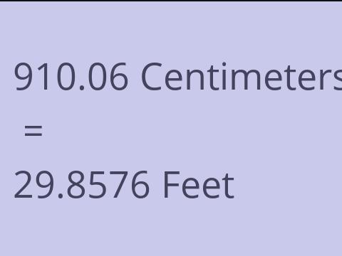 910.06 CM TO FEET