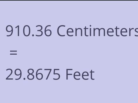 910.36 CM TO FEET