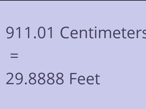 911.01 CM TO FEET