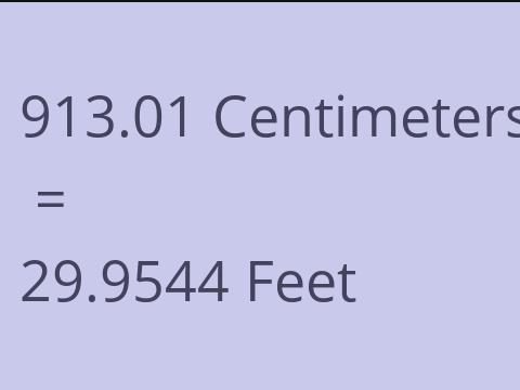 913.01 CM TO FEET