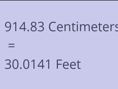 914.83 CM TO FEET