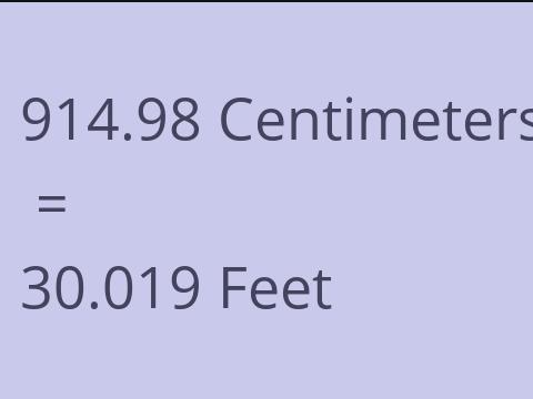 914.98 CM TO FEET