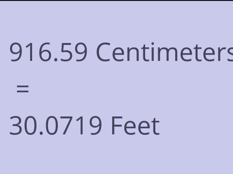 916.59 CM TO FEET