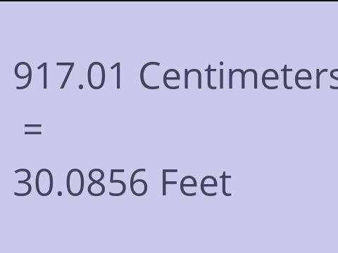 917.01 CM TO FEET