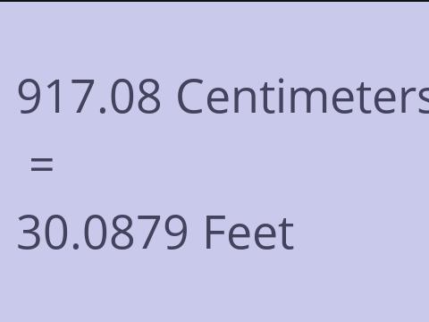 917.08 CM TO FEET