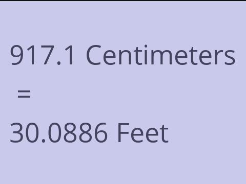 917.1 CM TO FEET