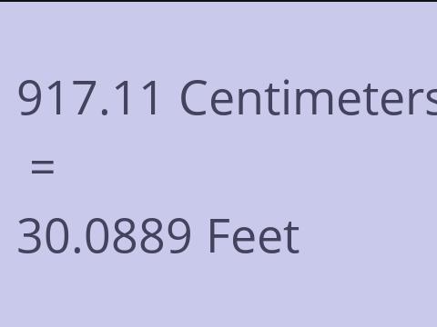 917.11 CM TO FEET