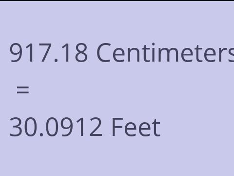 917.18 CM TO FEET