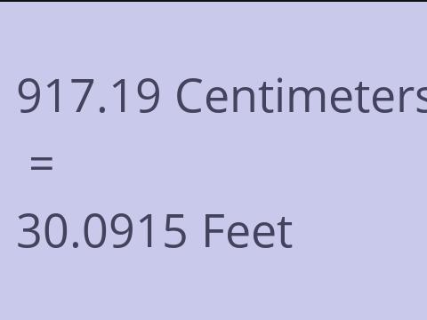 917.19 CM TO FEET