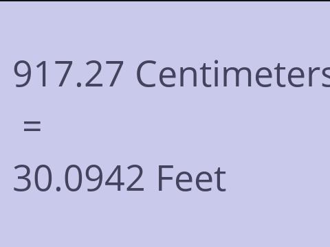 917.27 CM TO FEET