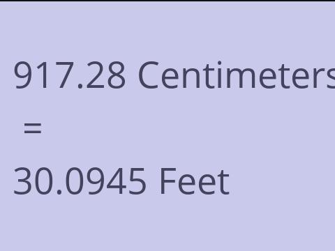 917.28 CM TO FEET