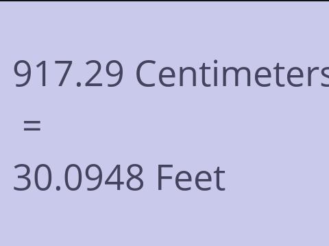 917.29 CM TO FEET