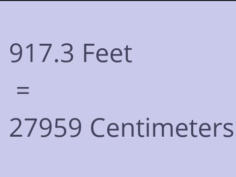 917.3 FEET TO CM