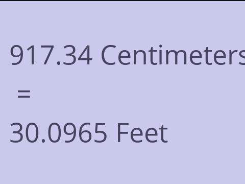 917.34 CM TO FEET