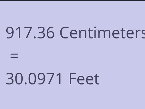 917.36 CM TO FEET