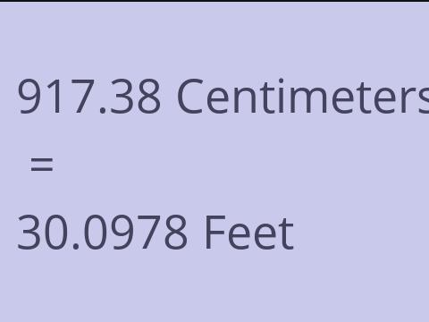 917.38 CM TO FEET