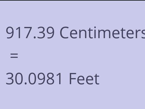 917.39 CM TO FEET