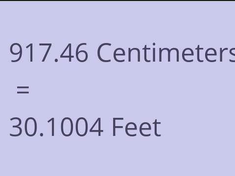 917.46 CM TO FEET