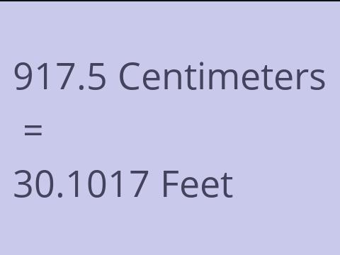 917.5 CM TO FEET